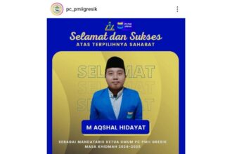 Mandataris Ketua Umum PMII Gresik 2024 - 2025, M Aqshal Hidayat. Foto: instagram @pc_pmiigresik/NUGres