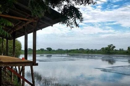 Aku bertanya: Apakah engkau percaya masa depan pertambakan akan cerah? Ia menjawab: Yakinilah kendati ini mungkin berat—bahwa tambak akan tetap ada. Seperti Tradisi Pasar Bandeng yang setia menjaganya. Foto pertambakan di Tanjangawan Ujungpangkah, Gresik. Foto: dok Chidir/NUGres