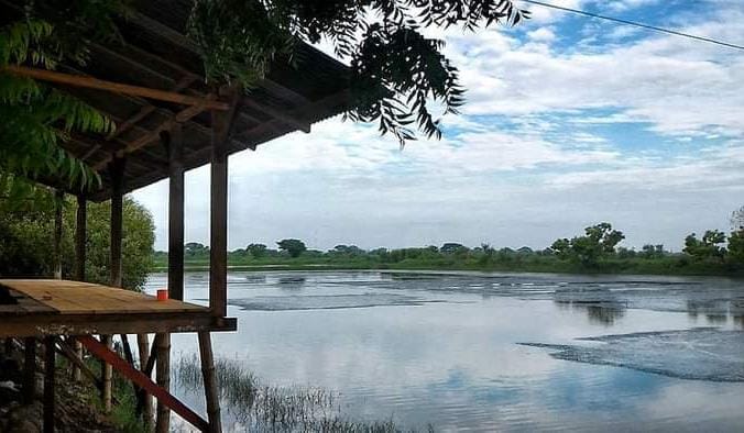 Aku bertanya: Apakah engkau percaya masa depan pertambakan akan cerah? Ia menjawab: Yakinilah kendati ini mungkin berat—bahwa tambak akan tetap ada. Seperti Tradisi Pasar Bandeng yang setia menjaganya. Foto pertambakan di Tanjangawan Ujungpangkah, Gresik. Foto: dok Chidir/NUGres